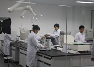 廠區(qū)環(huán)境