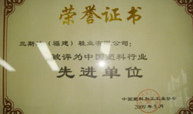 2009年中國塑料行業(yè)先進(jìn)單位