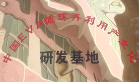 2009年中國EVA循環(huán)再利用產(chǎn)業(yè)化研發(fā)基地稱號